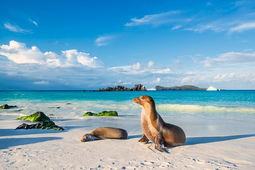 Galapagos Express